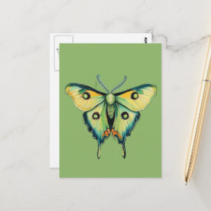 Luna Moth Painting on Green Postcard