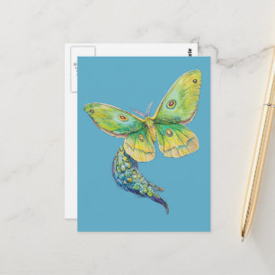 Luna Moth Painting Postcard