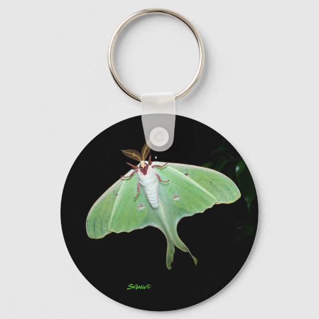 Luna Moth Photo Keychain (Front)
