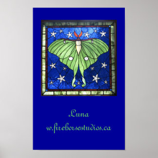 Luna Moth Poster