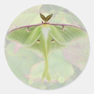 Luna Moth Stickers
