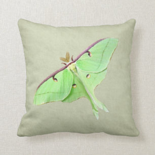 Luna Moth Throw Pillow