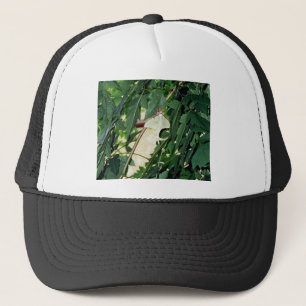 Luna Moth Trucker Hat