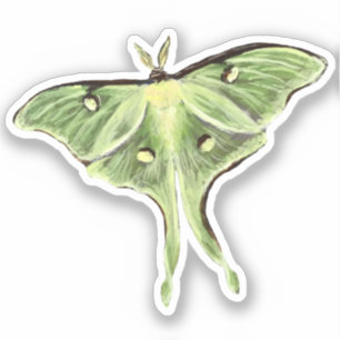 Luna Moth Vinyl Sticker