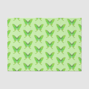 Luna moths - lime green on a pale green background tissue paper