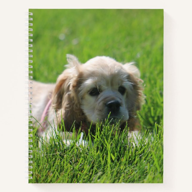 Luna Notebook (Front)