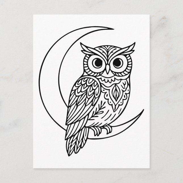 Luna Owl Line Art with Crescent Moon Postcard (Front)