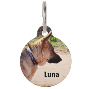 Luna The German Shepherd, Pet Tag, Pet Tag