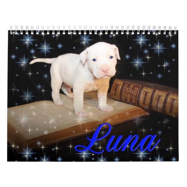 Luna the Saved Abandoned Puppy Dog Calendar (Cover)