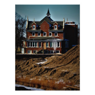 "Lunacy Loves Company" Photo Print