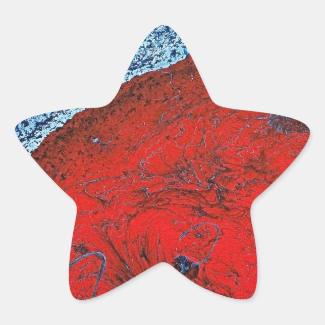 LUNAR BEACH STAR STICKER (Front)