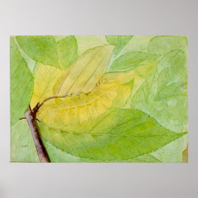 Lunar Caterpillar by Abbott Handerson Thayer Poster (Front)