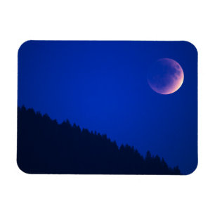 Lunar Eclipse Over Forest   Zug, Switzerland Magnet