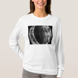 Lunar eclipse T-Shirt
