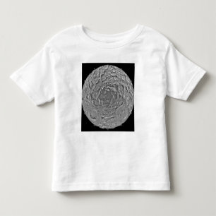 Lunar mosaic of the south polar region of the m toddler T-Shirt