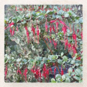 Lunar New Year - Ribes Speciosum $12.95 each 15% o Glass Coaster