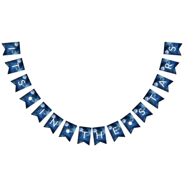 Lunar Sky Full Moon It's In the Stars  Wedding Bunting (All)