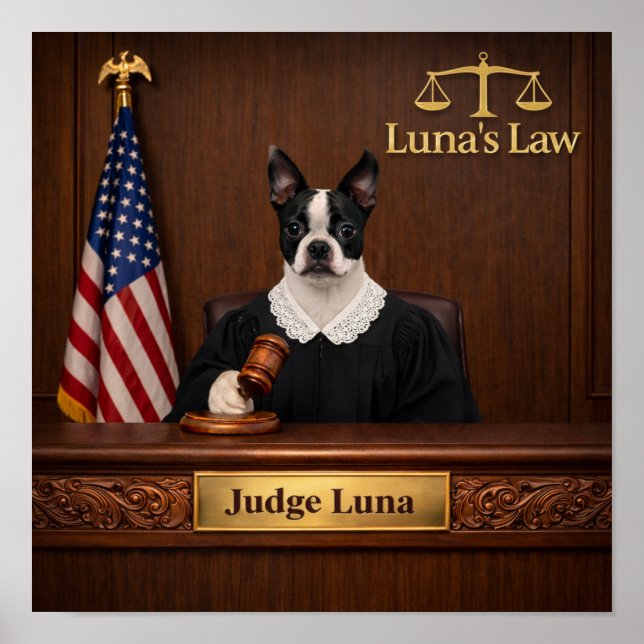 "Luna's Law" Poster (Front)