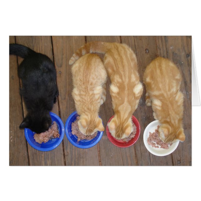 LUNCH! (Front Horizontal)