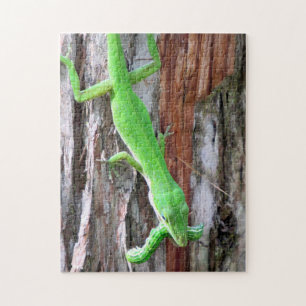 Lunch Anyone? Green Anole (Lizard) Puzzle