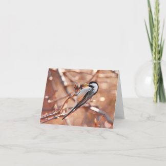 "Lunch" (Black-Capped Chickadee) - Blank Note Card