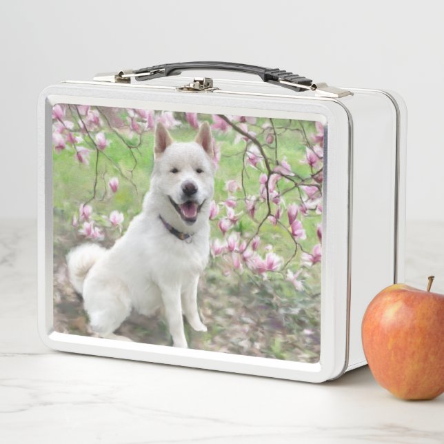Lunch Box - White Akita (In Situ)