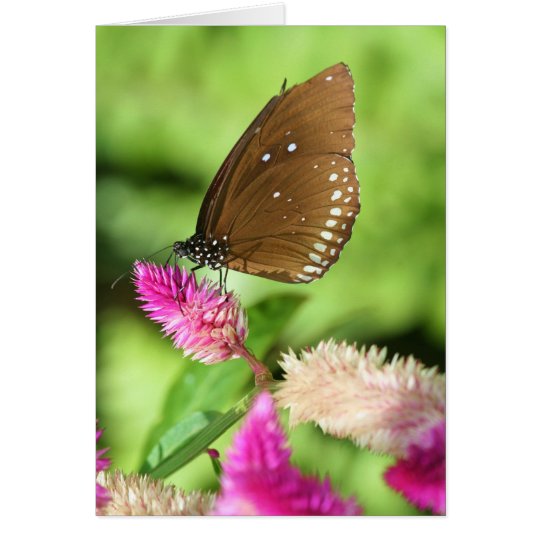 Lunch Time Card