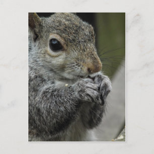 Lunch time postcard