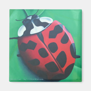 Lunching Lady . . . Bug Magnet