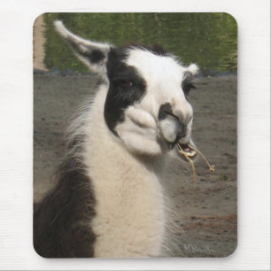 Lunching Llama Mouse Mat