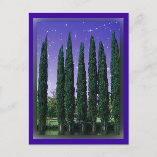 Lundblade Conifers - Starry Eve, postcard (Front)