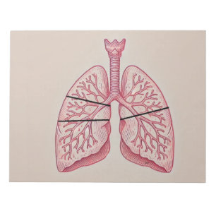 Lung diagram  notepad