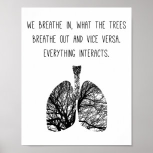 Lung Tree Air Breathe Breathing Photosynthesis Tre Poster