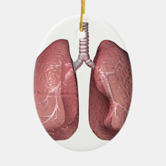 lungs ceramic tree decoration