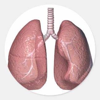 lungs classic round sticker