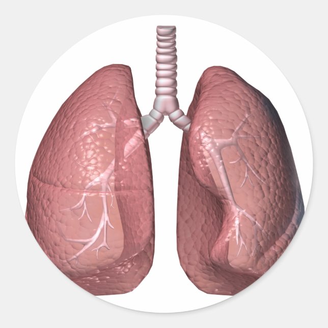 lungs classic round sticker (Front)