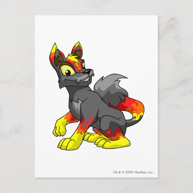 Lupe Fire Postcard (Front)