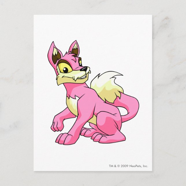 Lupe Pink Postcard (Front)