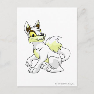 Lupe White Postcard