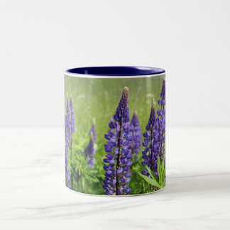 Lupin blossom Two-Tone coffee mug