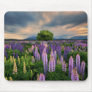 Lupin Field in New Zealand Mouse Mat
