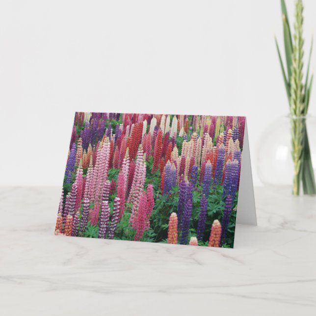 Lupin Flowers Blank Greeting Card (Front)