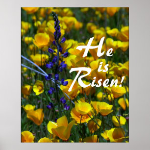 Lupin & Poppies He is Risen! Print