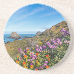 Lupine And Paintbrush Wildflowers Coaster
