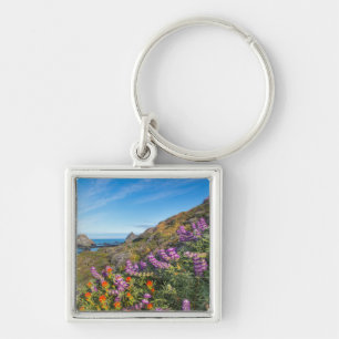 Lupine And Paintbrush Wildflowers Key Ring