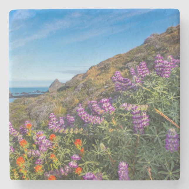 Lupine And Paintbrush Wildflowers Stone Coaster (Front)
