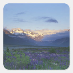 Lupine and the Main Divide, Arthur's Pass, South Square Sticker