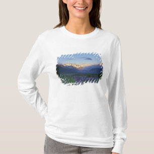 Lupine and the Main Divide, Arthur's Pass, South T-Shirt