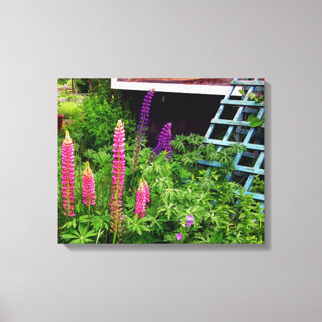 Lupine Canvas Print (Front)