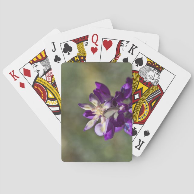 Lupine Close-up Playing Cards (Back)